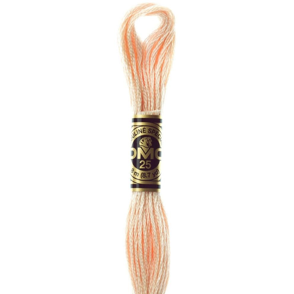 DMC Embroidery Floss, 6-Strand - Tawny Light #951 CLEARANCE