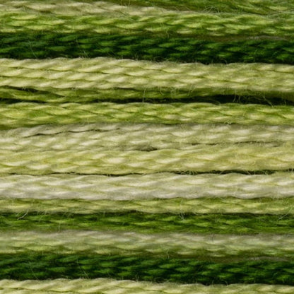 DMC Embroidery Floss, 6 - Strand - Variegated Avocado 92 - Honey Bee Stamps