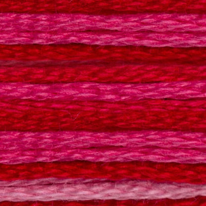 DMC Embroidery Floss, 6 - Strand - Variegated Carnation 107 - Honey Bee Stamps