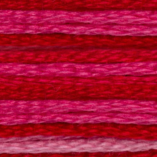 DMC Embroidery Floss, 6 - Strand - Variegated Carnation 107 - Honey Bee Stamps