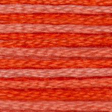 DMC Embroidery Floss, 6-Strand - Variegated Coral #106 - Honey Bee Stamps