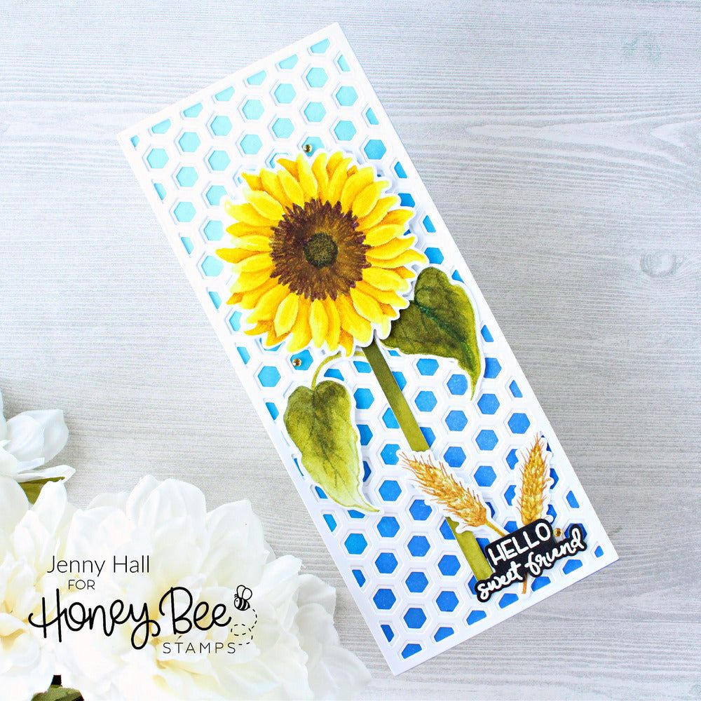 Hexi Slimline Cover Plate Base - Honey Cuts - retiring - Honey Bee Stamps