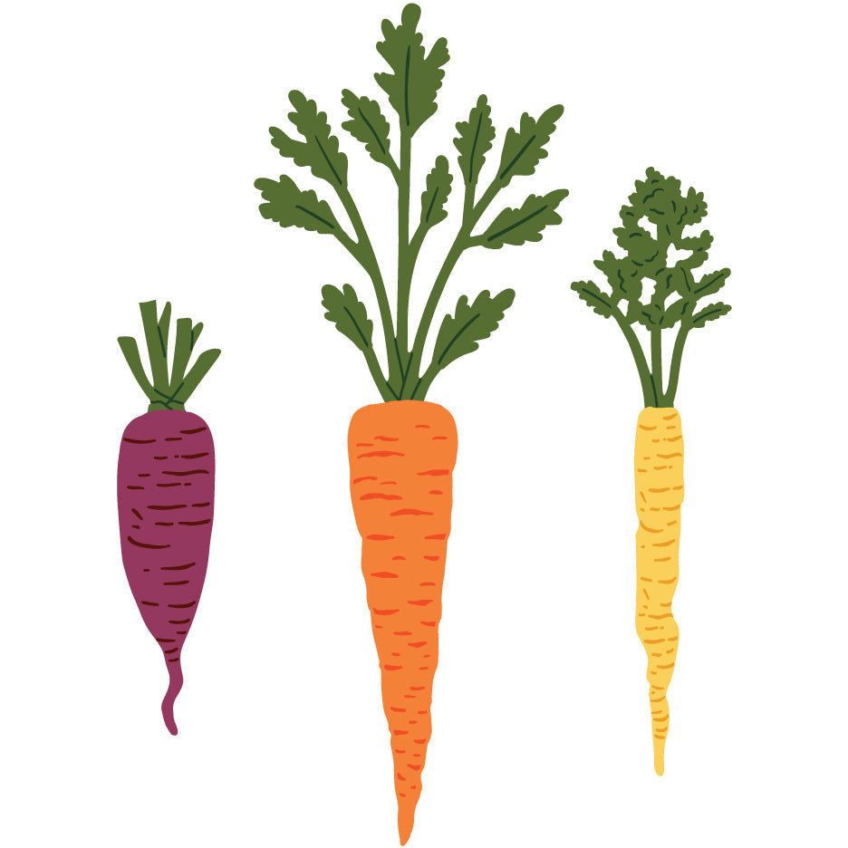 Lovely Layers: Carrots - Honey Cuts - Stand - Alone Dies - Honey Bee Stamps