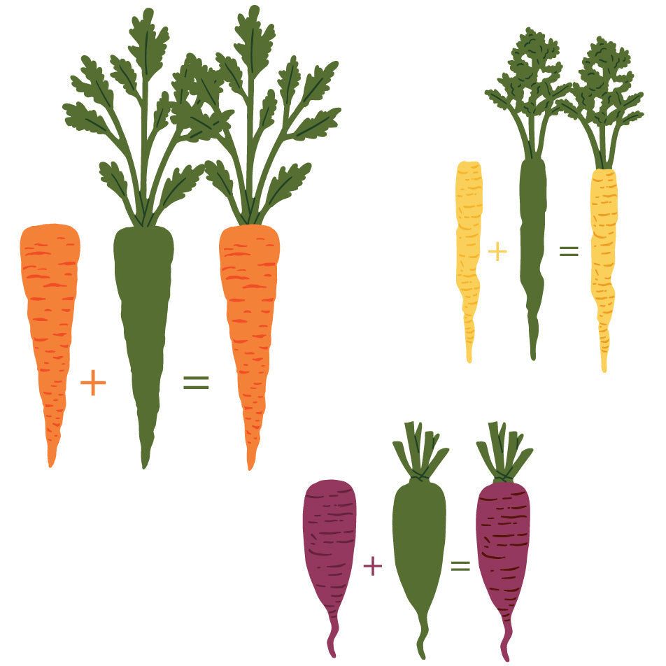 Lovely Layers: Carrots - Honey Cuts - Stand - Alone Dies - Honey Bee Stamps