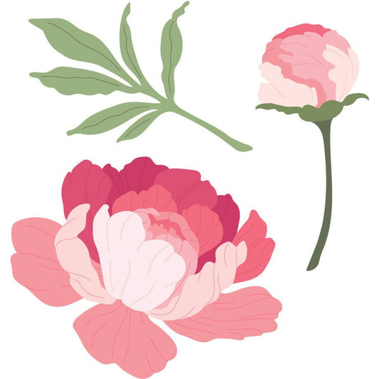 Lovely Layers: Peony - Honey Cuts - Stand - Alone Dies - Honey Bee Stamps
