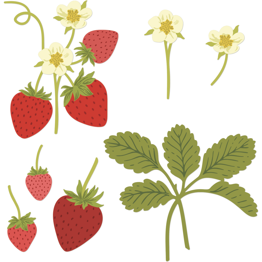 Lovely Layers: Strawberries - Honey Cuts - Stand - Alone Dies - Honey Bee Stamps