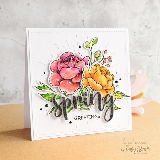 Radiant Circle Background - Honey Cuts - Honey Bee Stamps