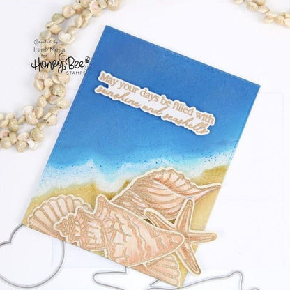 Seashells - 6x8 Photopolymer Stamp Set - Honey Bee Stamps