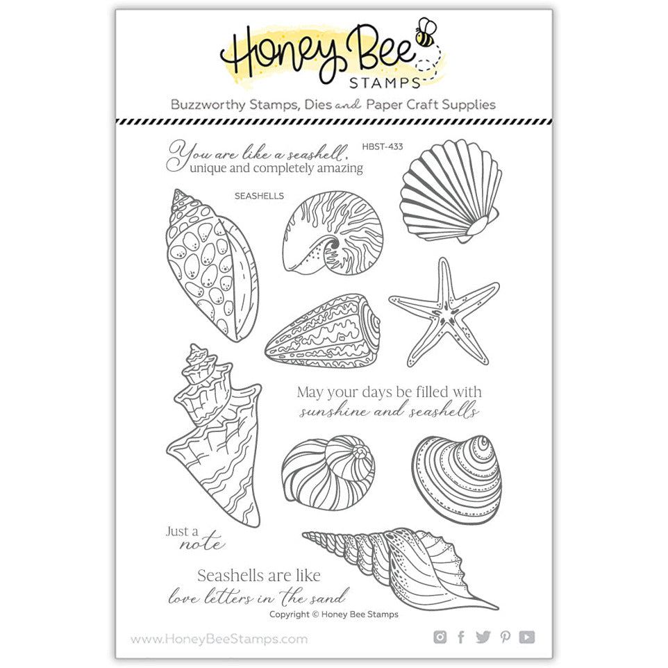 Seashells - 6x8 Photopolymer Stamp Set - Honey Bee Stamps