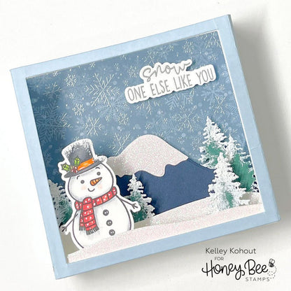 Snow Family Like Ours - 6x8 Photopolymer Stamp Set - Retiring - Honey Bee Stamps