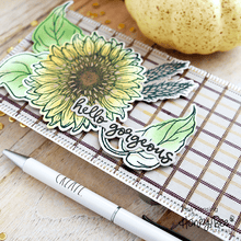 Sweet Sunflowers - 6x6 Stamp Set - Honey Bee Stamps